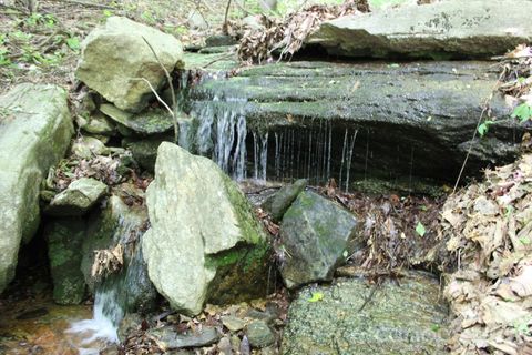 337 Roberson School Road Moravian Falls NC 28654