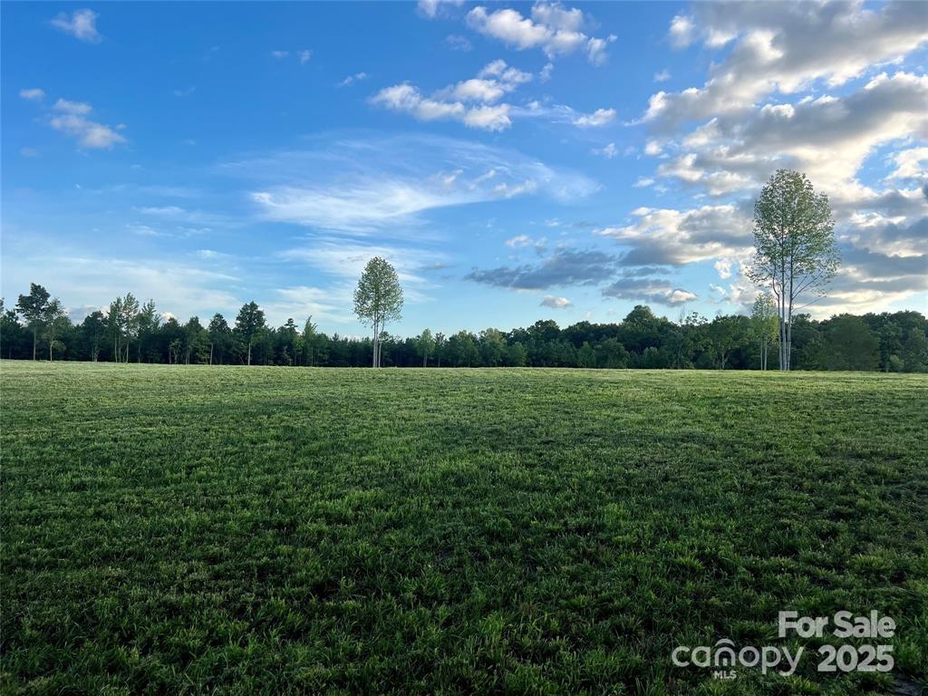 000 Jackson Hollow Lane