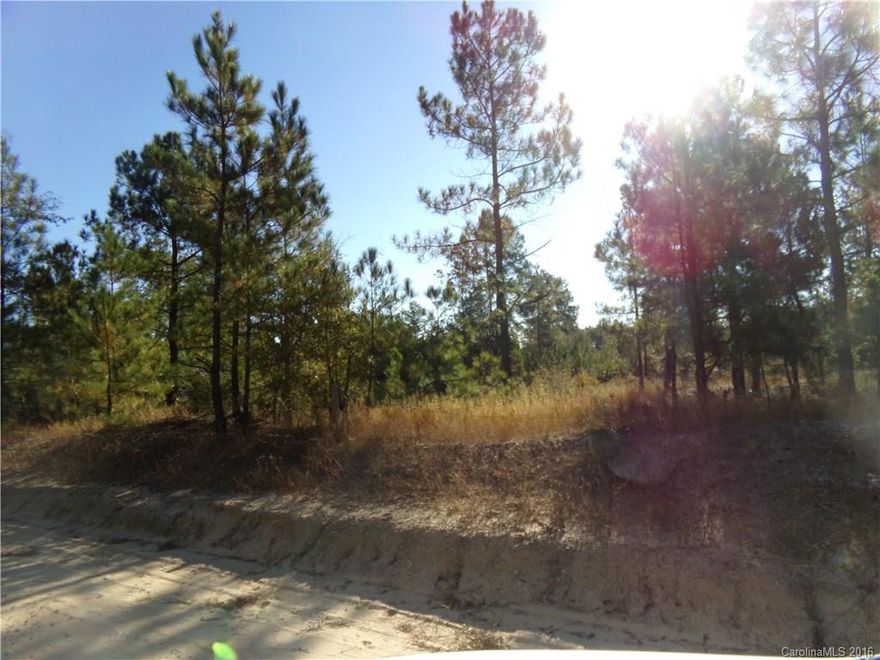 This property has lots of road frontage on Lake Terry Rd and Rocky Hill Church Rd.  Property is bordered by a creek.