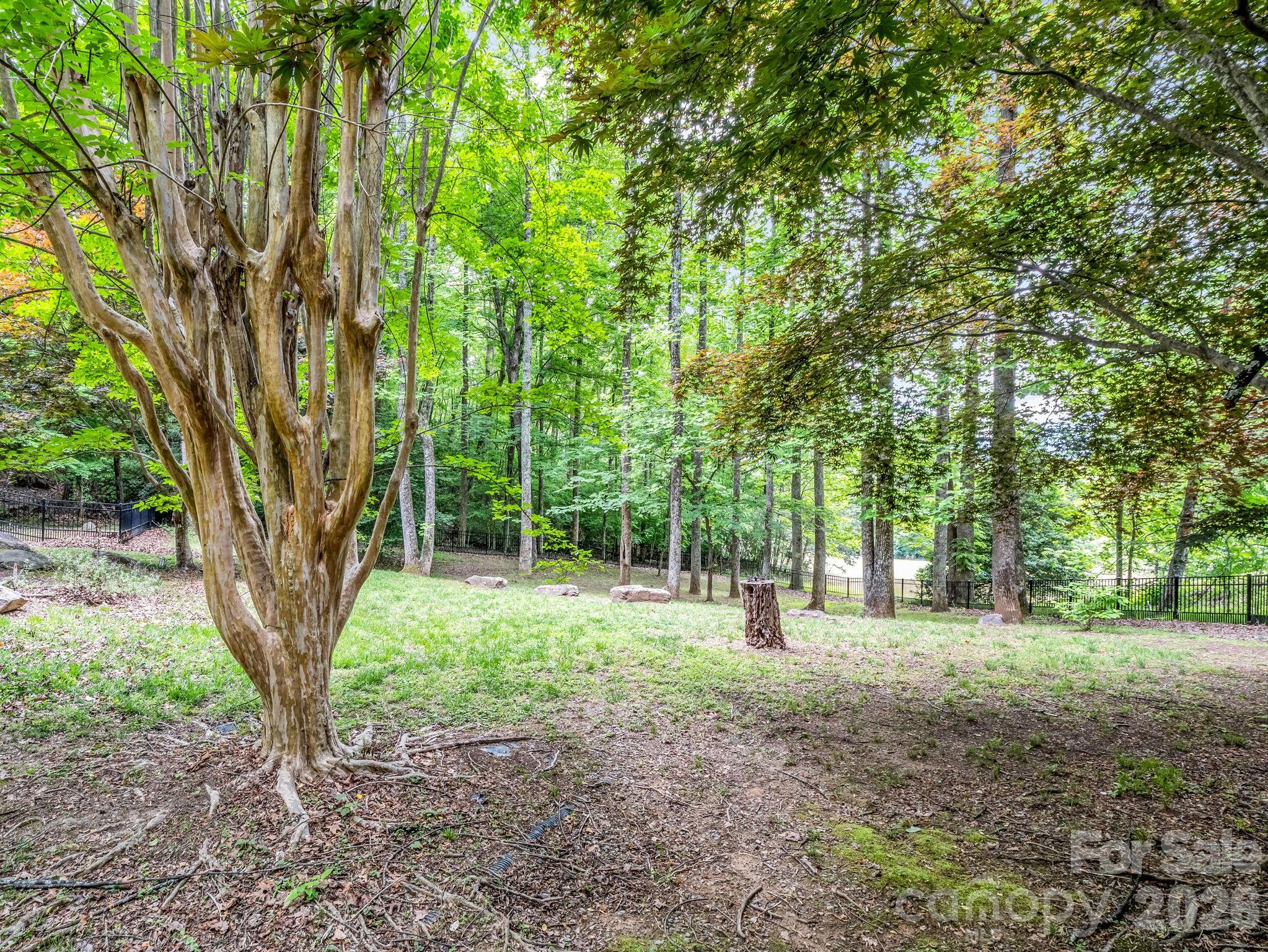 Rumbling Bald on Lake Lure - Residential