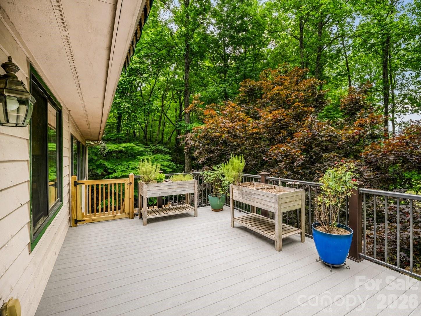 Rumbling Bald on Lake Lure - Residential