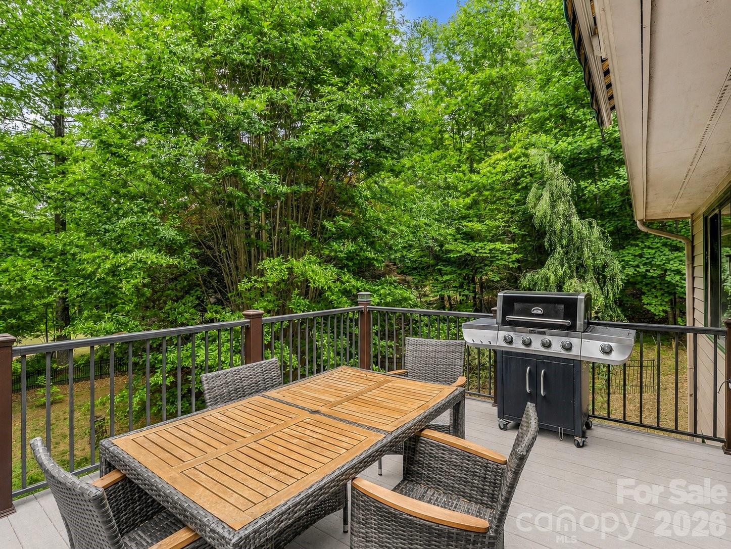 Rumbling Bald on Lake Lure - Residential