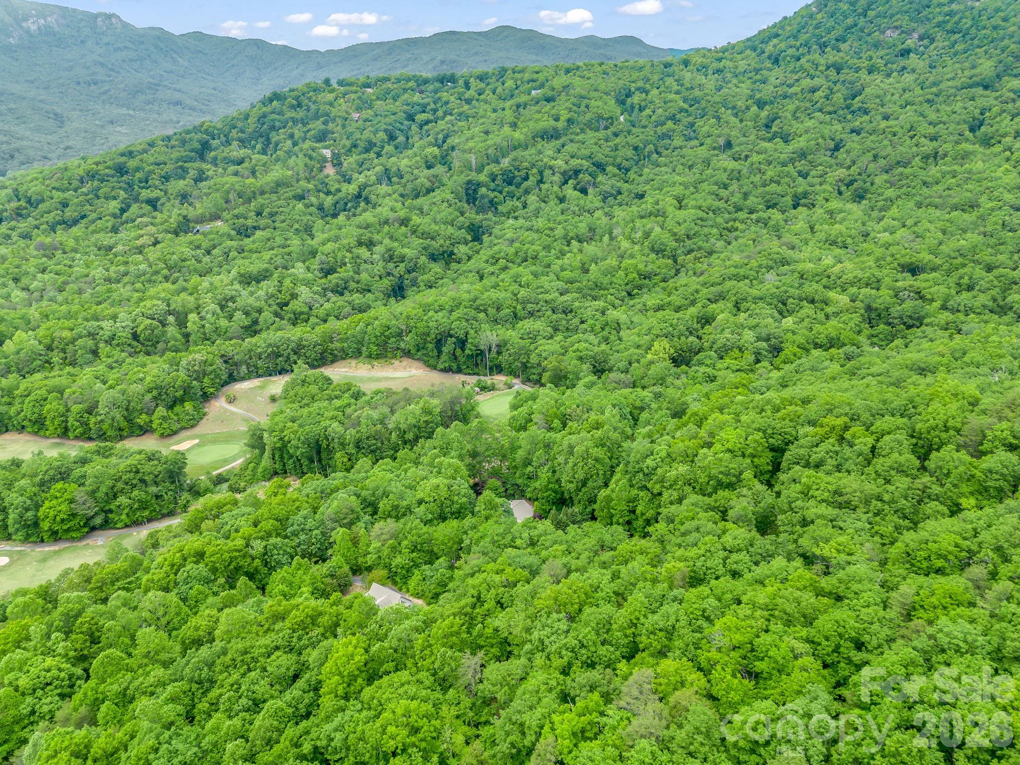 Rumbling Bald on Lake Lure - Residential