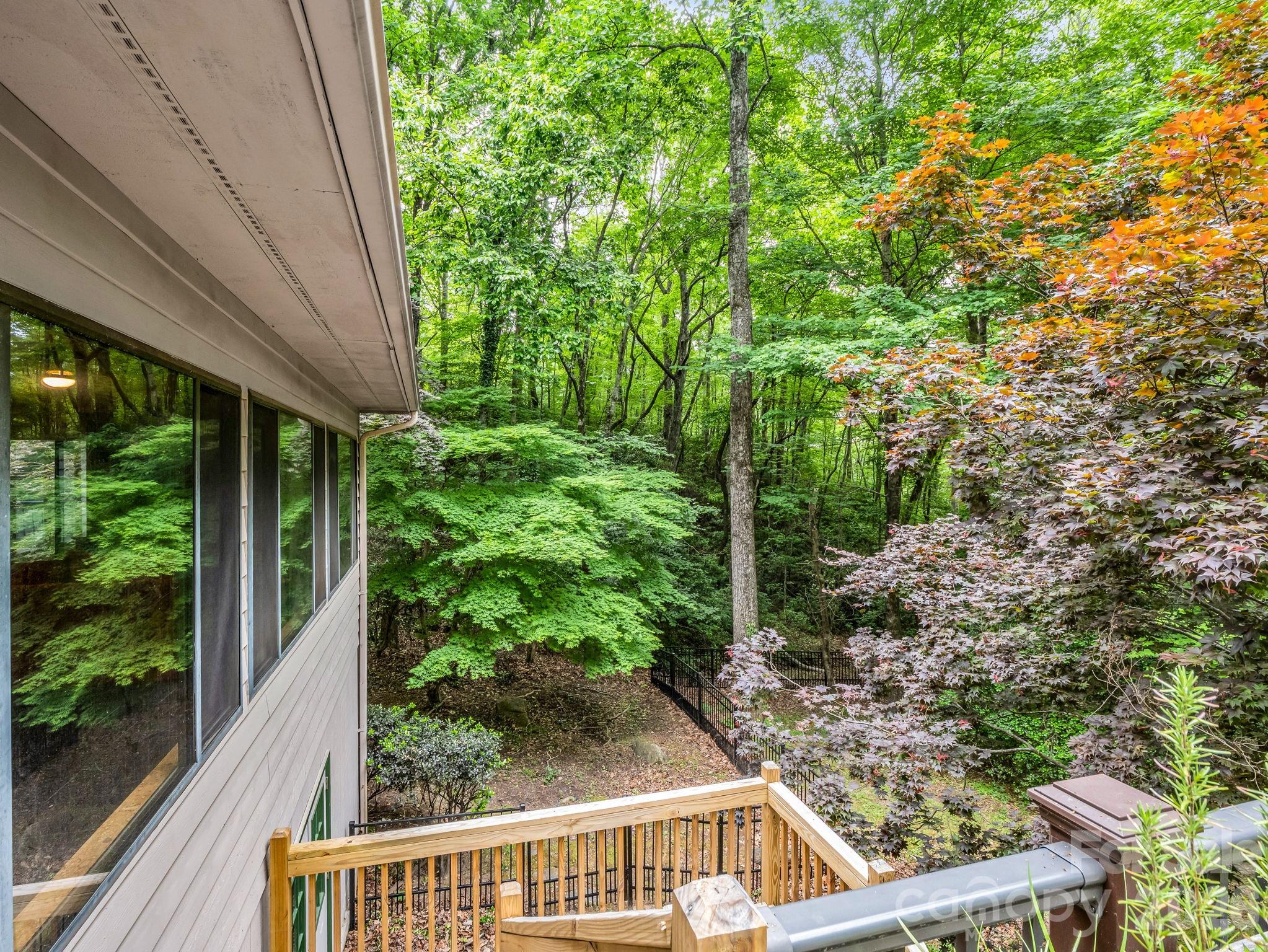 Rumbling Bald on Lake Lure - Residential