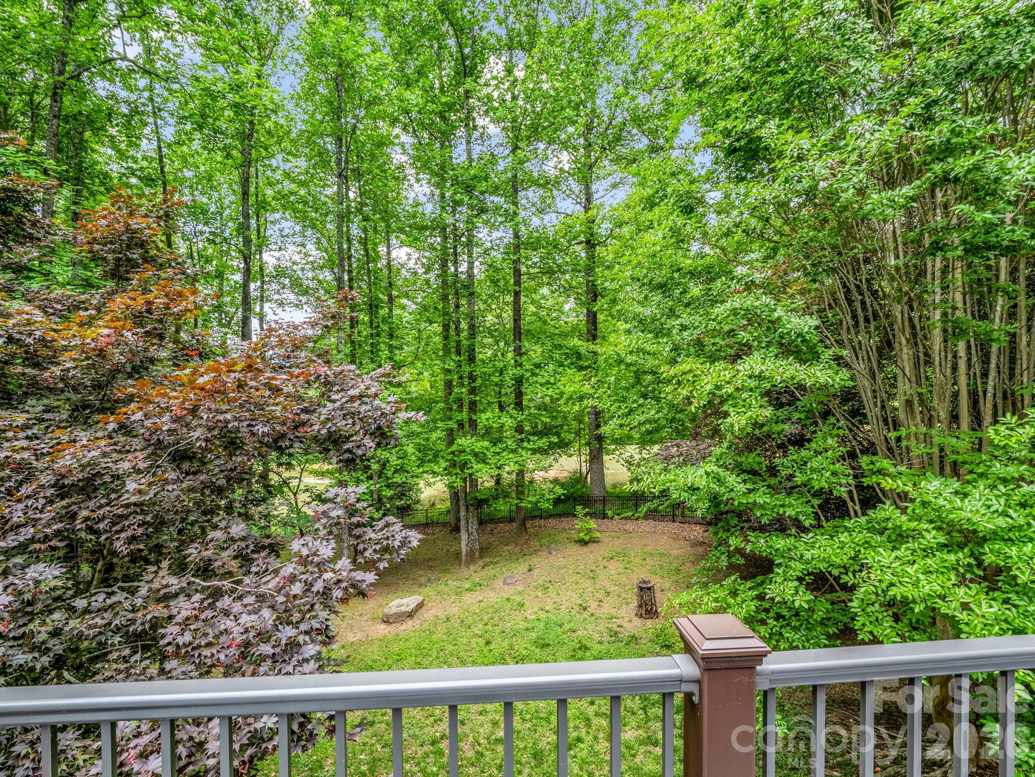 Rumbling Bald on Lake Lure - Residential