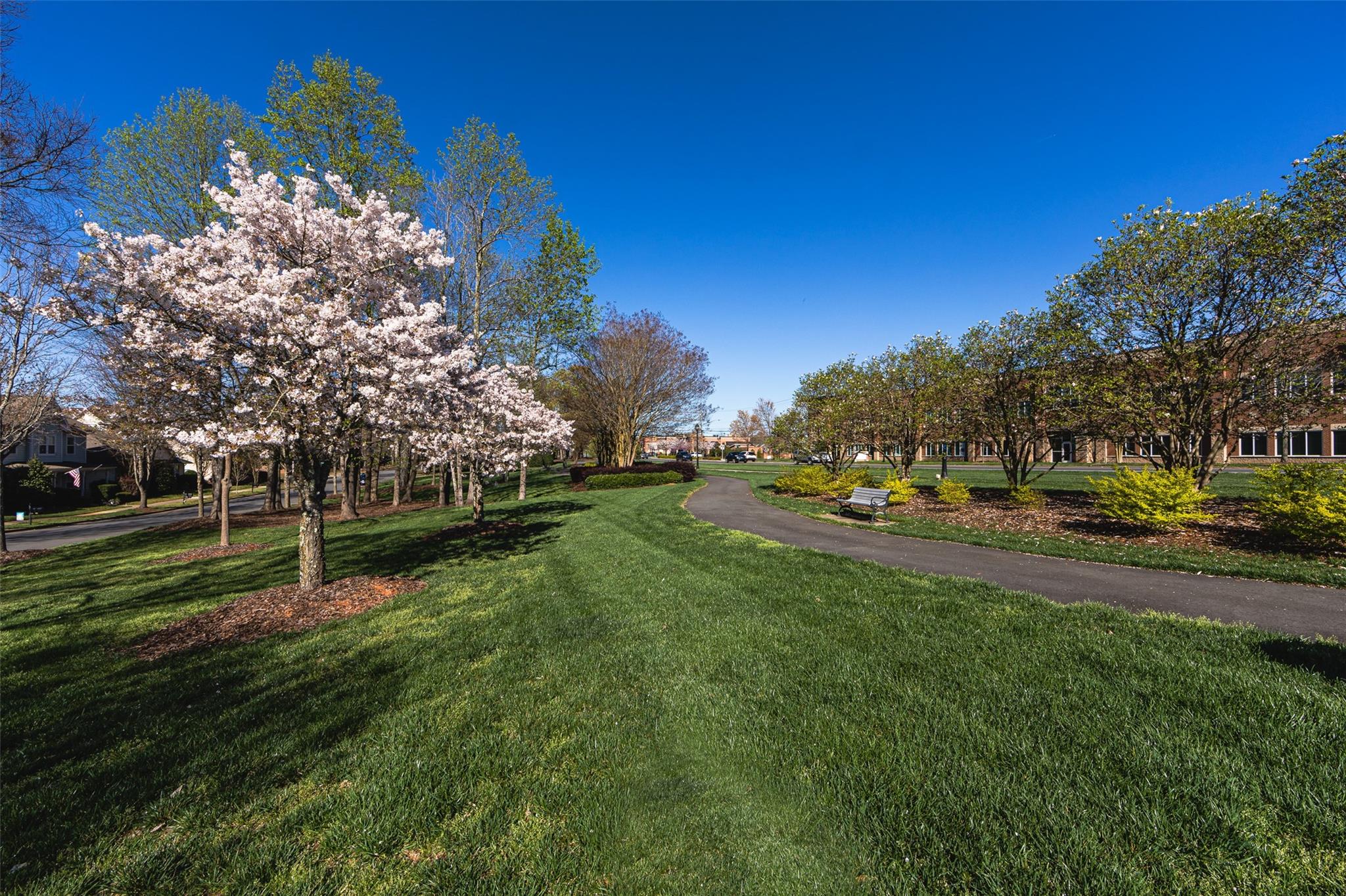 Brighton Park - Residential