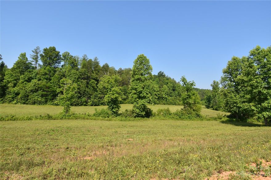 45+ or - Acres of land that can be subdivided into 10 acres or more tracks or purchase as one track of land. Several great building sites for a 1600 + square foot site-built home. Zoned RA-20 Residential use. Some of the land has been cleared other places on the property is wooded. Very nice property. Some owner financing available. No city limits! Call today for a tour of the property.