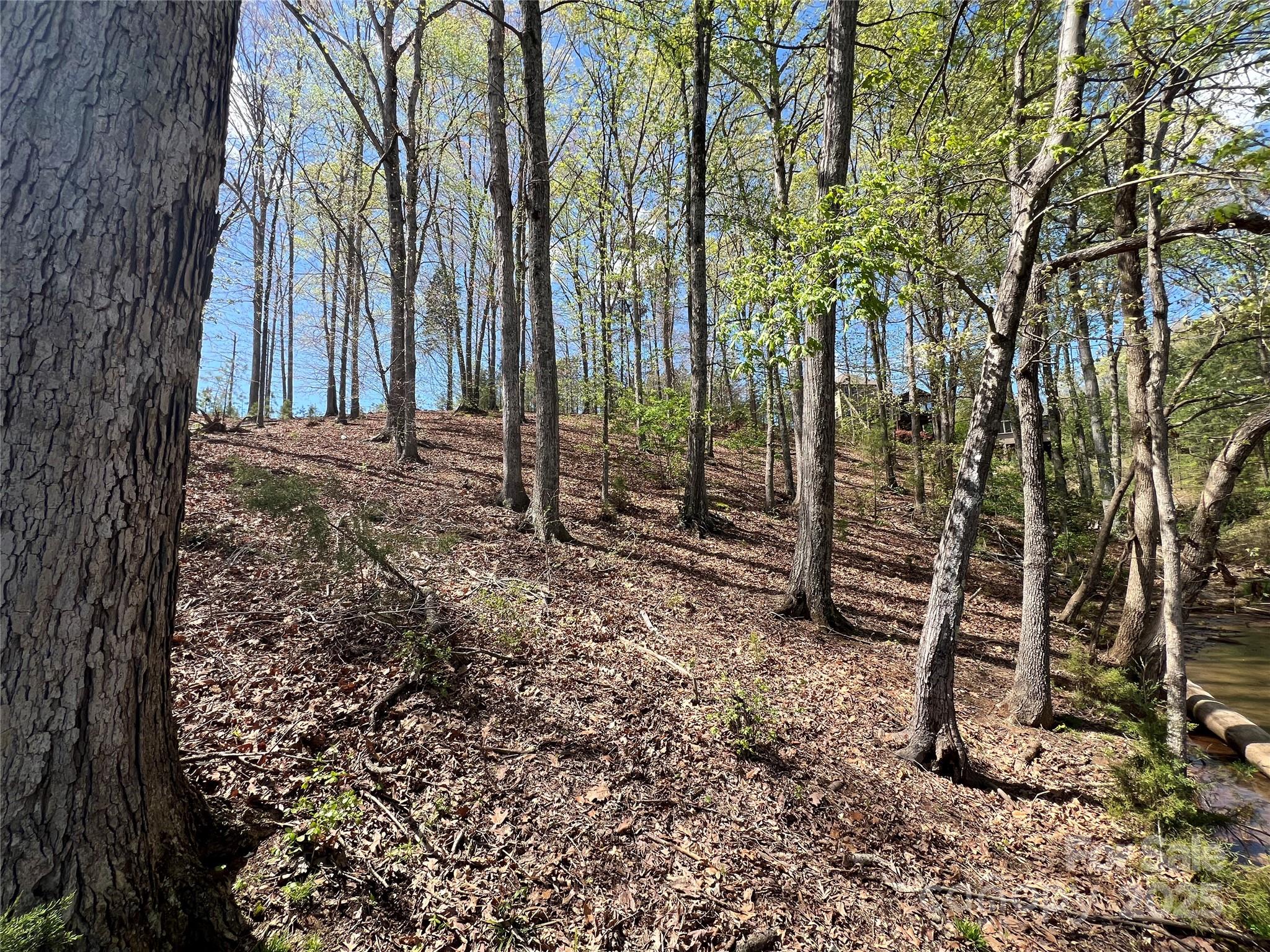 Reflection Pointe - Land