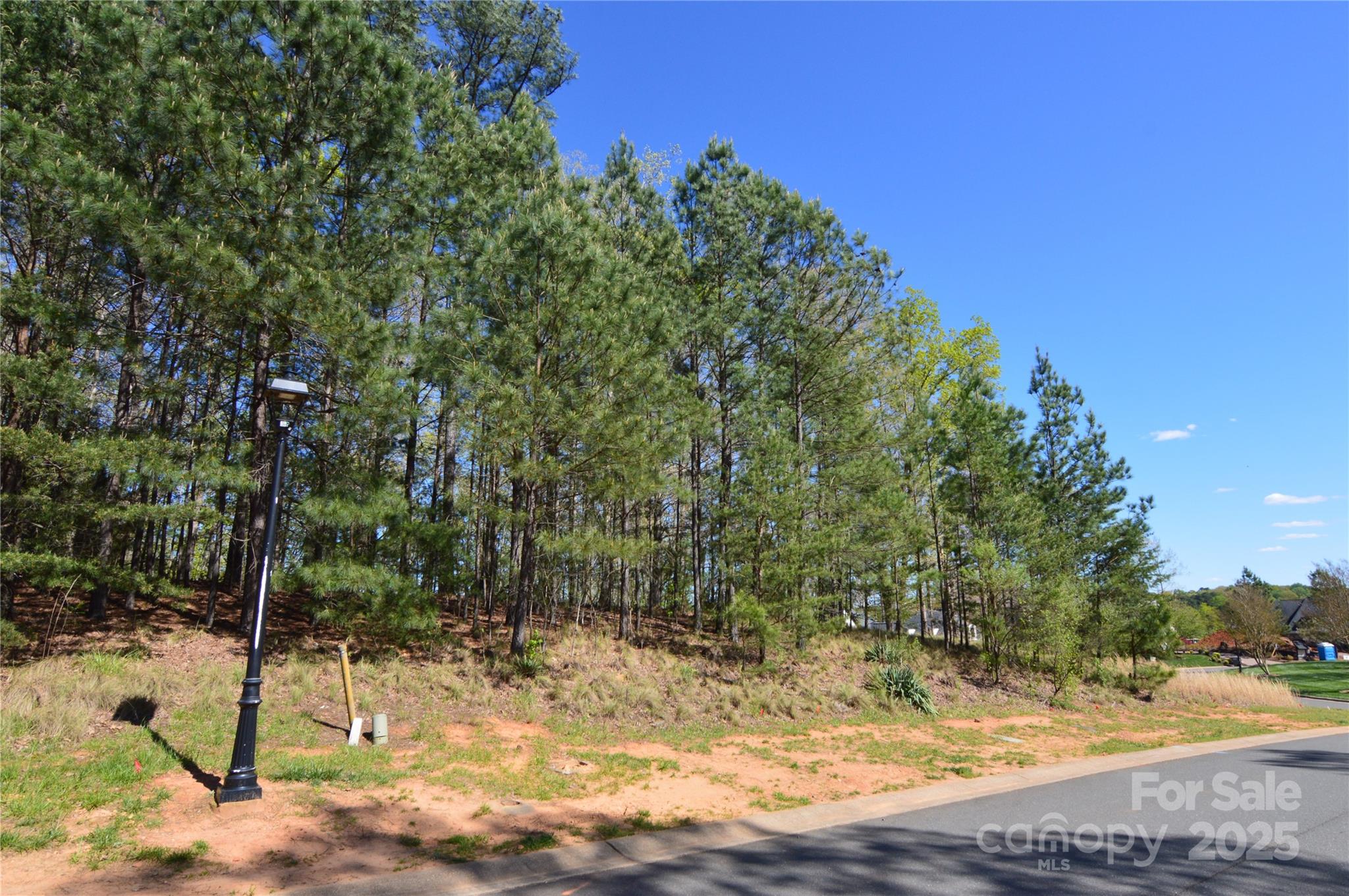 Reflection Pointe - Land