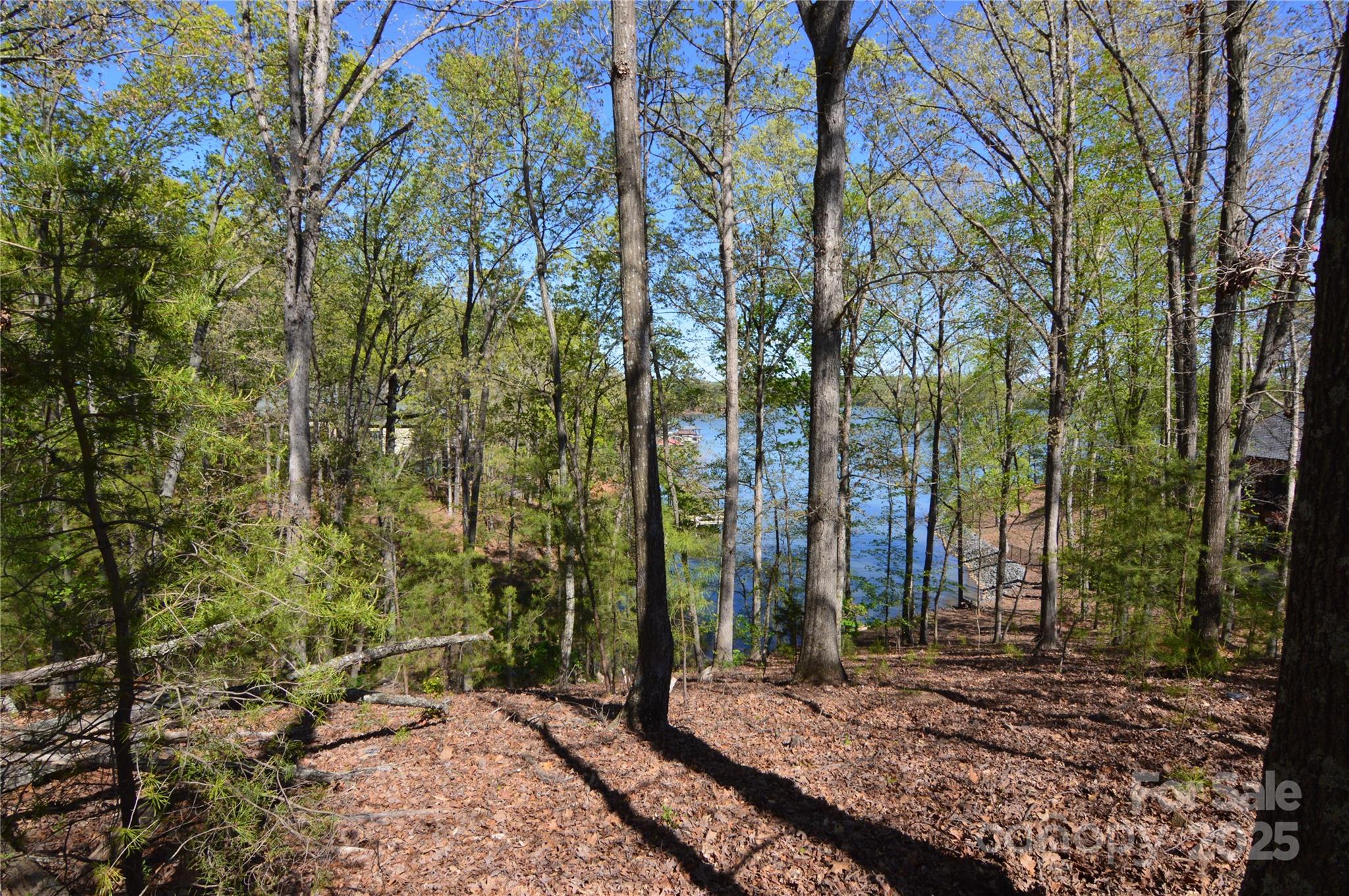 Reflection Pointe - Land