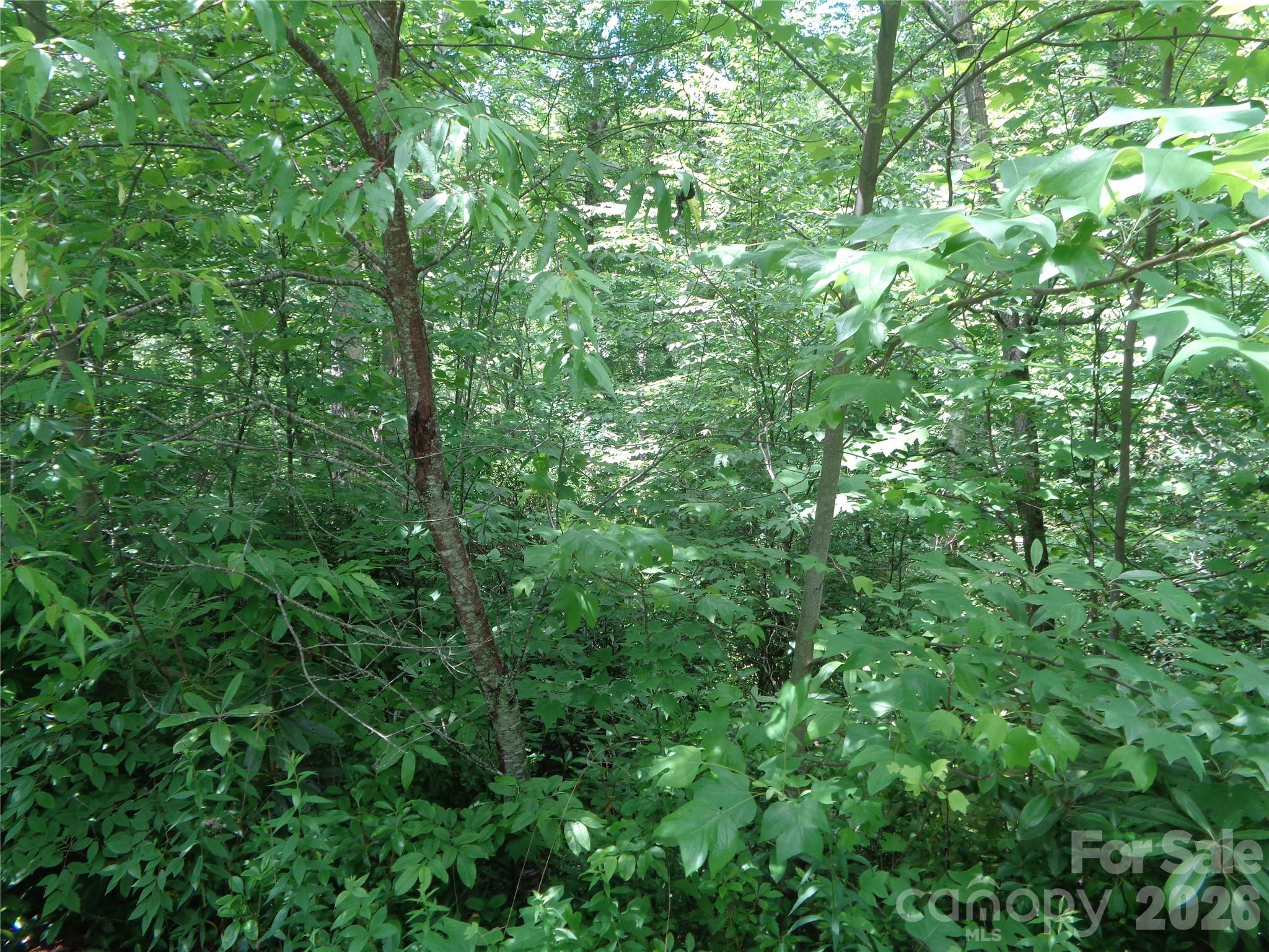 Lot 6 Peaks Creek Trail