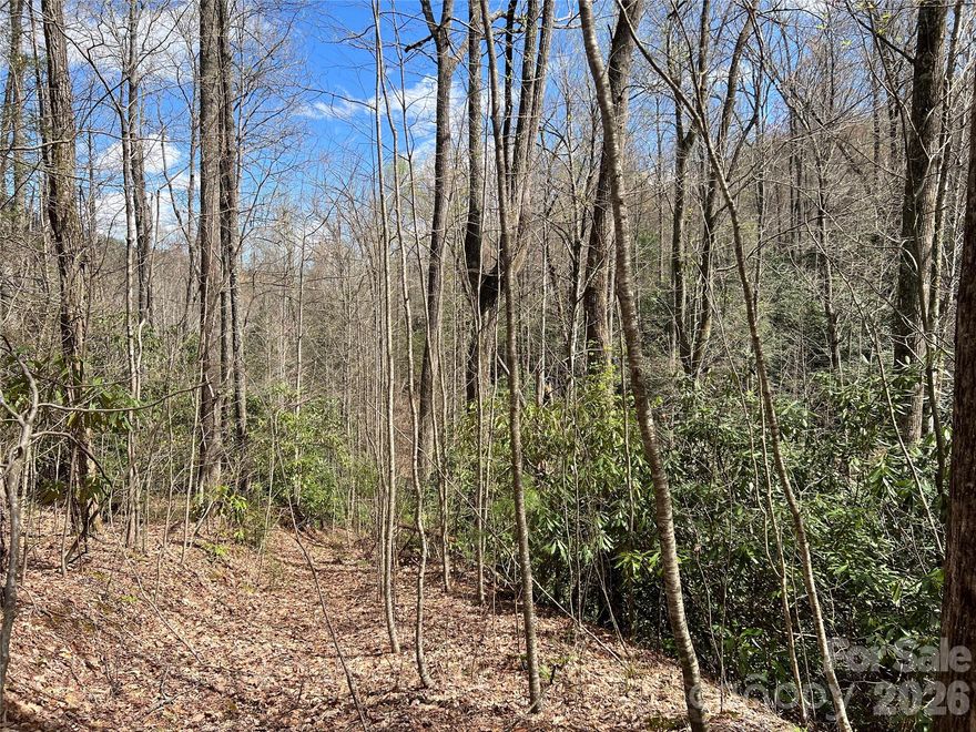 This expansive tract is a true nature lover’s dream, featuring multiple picturesque spring-fed creeks and a well-established network of trails that wind throughout the property. The diverse landscape offers a peaceful, private setting ideal for outdoor recreation, from hiking and exploring to simply unwinding in the quiet of nature.

Mature timber and natural terrain create excellent habitat for wildlife, adding to the property’s appeal for both recreation and enjoyment. With something new to discover around every corner, this property delivers a unique blend of beauty, usability, and seclusion.

Whether you’re looking for a private retreat, a recreational getaway, or a place to enjoy the outdoors, this tract offers endless opportunities to explore and relax.