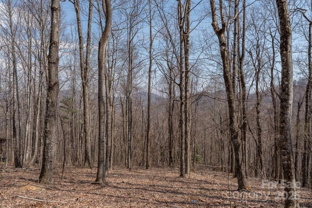 TBD Grande Oaks Drive 22