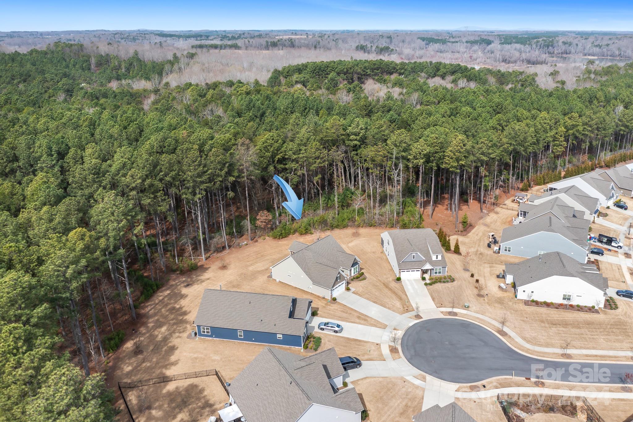 Imagery On Mtn Island - Residential