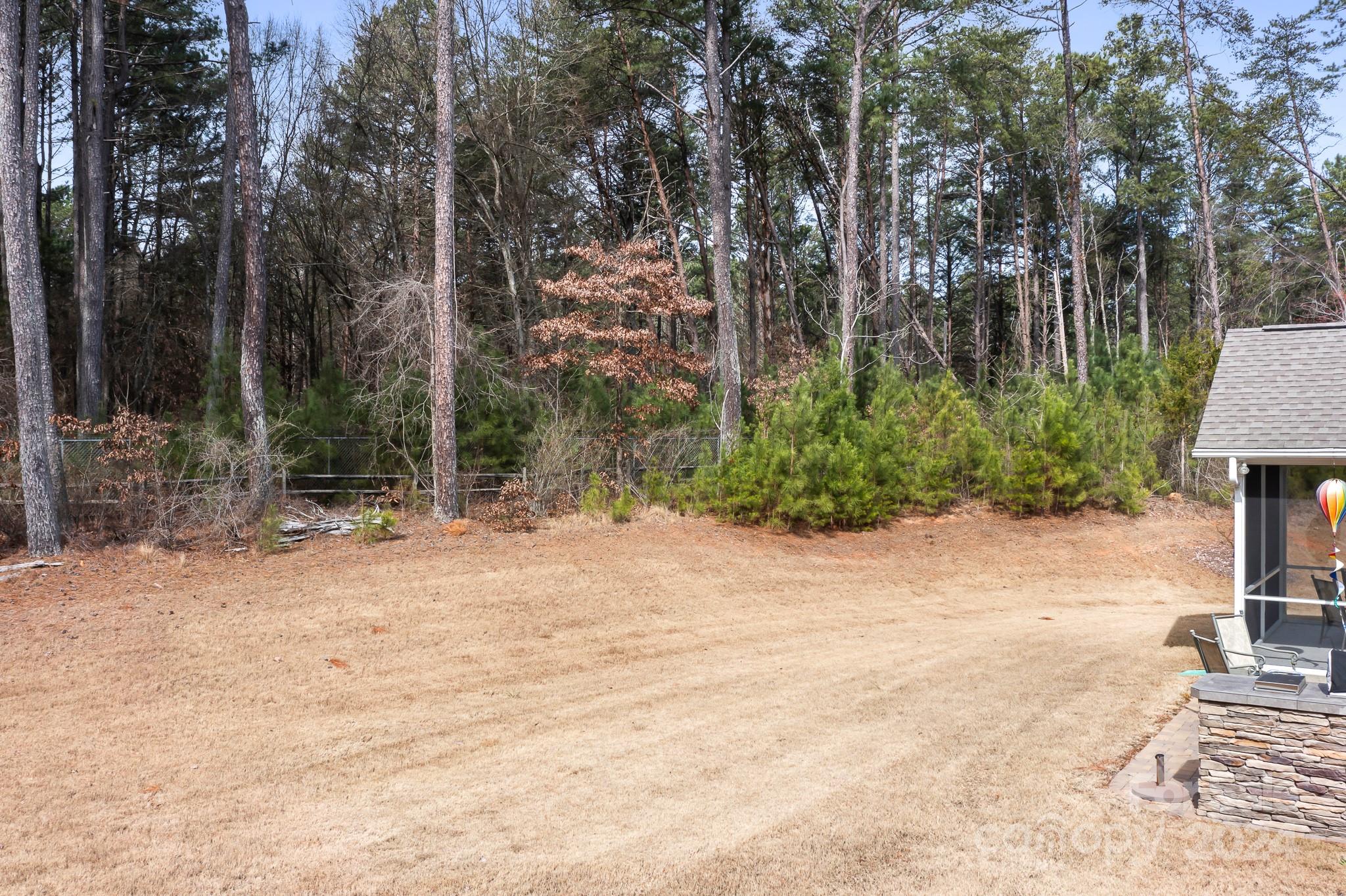 Imagery On Mtn Island - Residential