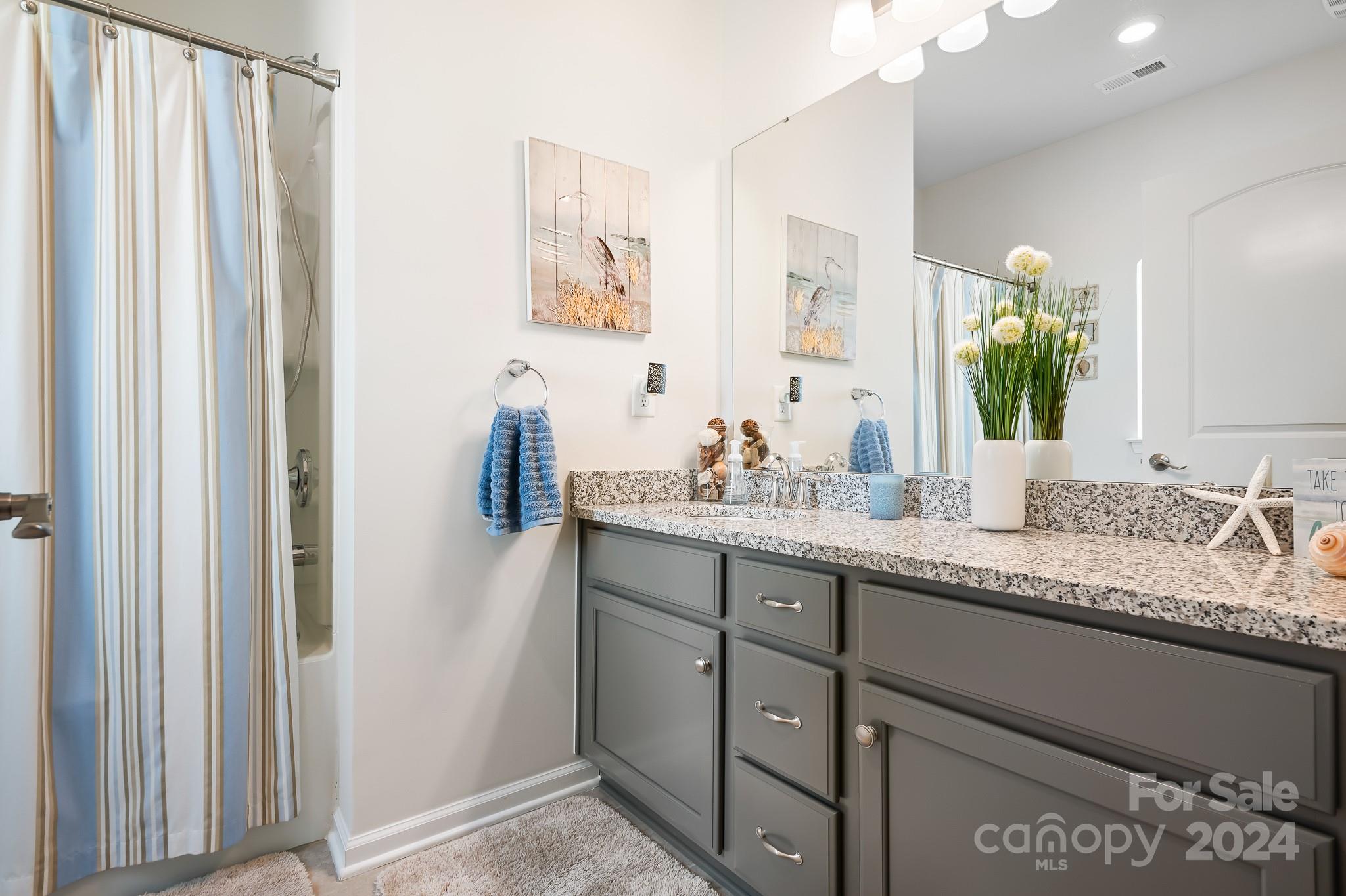 Imagery On Mtn Island - Residential