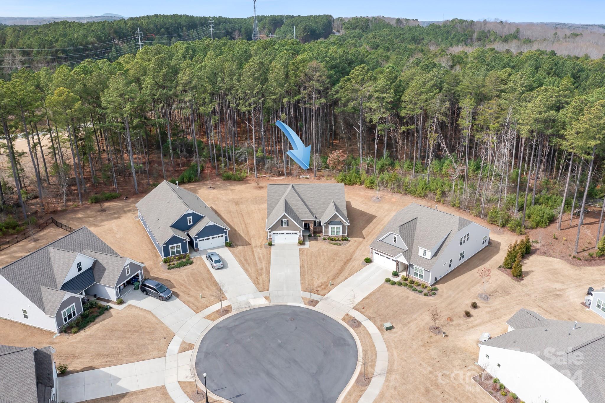 Imagery On Mtn Island - Residential