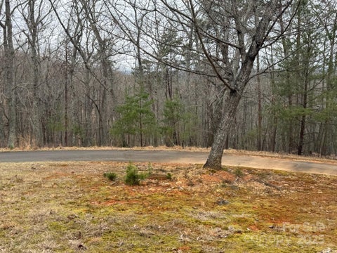 Photo for 295 Cascading Creek Trail 10