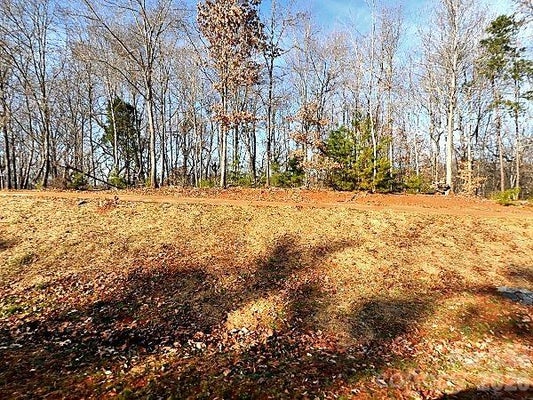 13638 GIRL SCOUT RD, CHARLOTTE, NC 28278 - Image 29460d9f6b796275de5ac933e01bd43b/1488292425