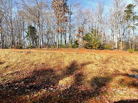 Photo of 13638 Girl Scout Road, Charlotte, NC 28278 (MLS # 4427818)