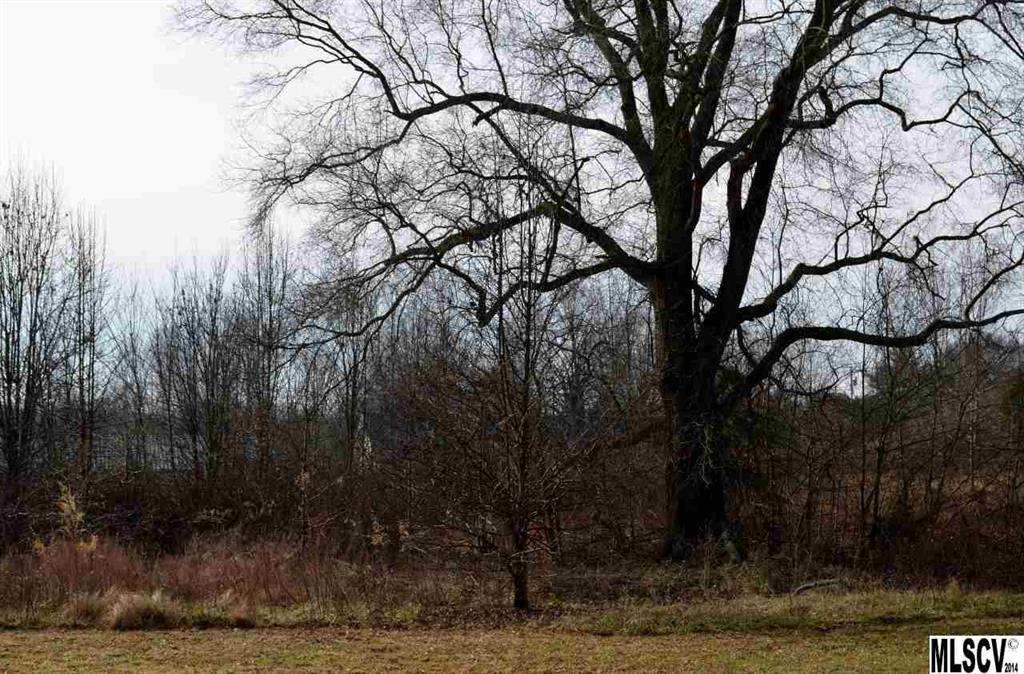 Green Meadows - Land