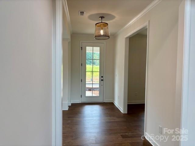 120 Adalyn Ivy Lane 3