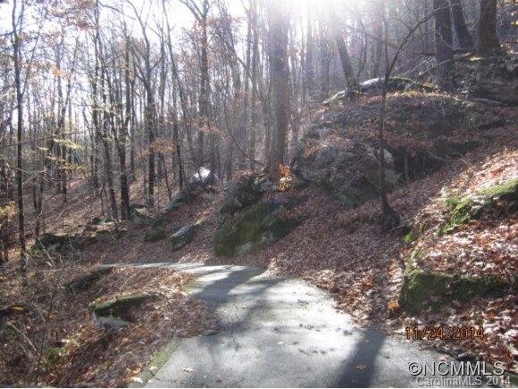 Rumbling Bald on Lake Lure - Residential