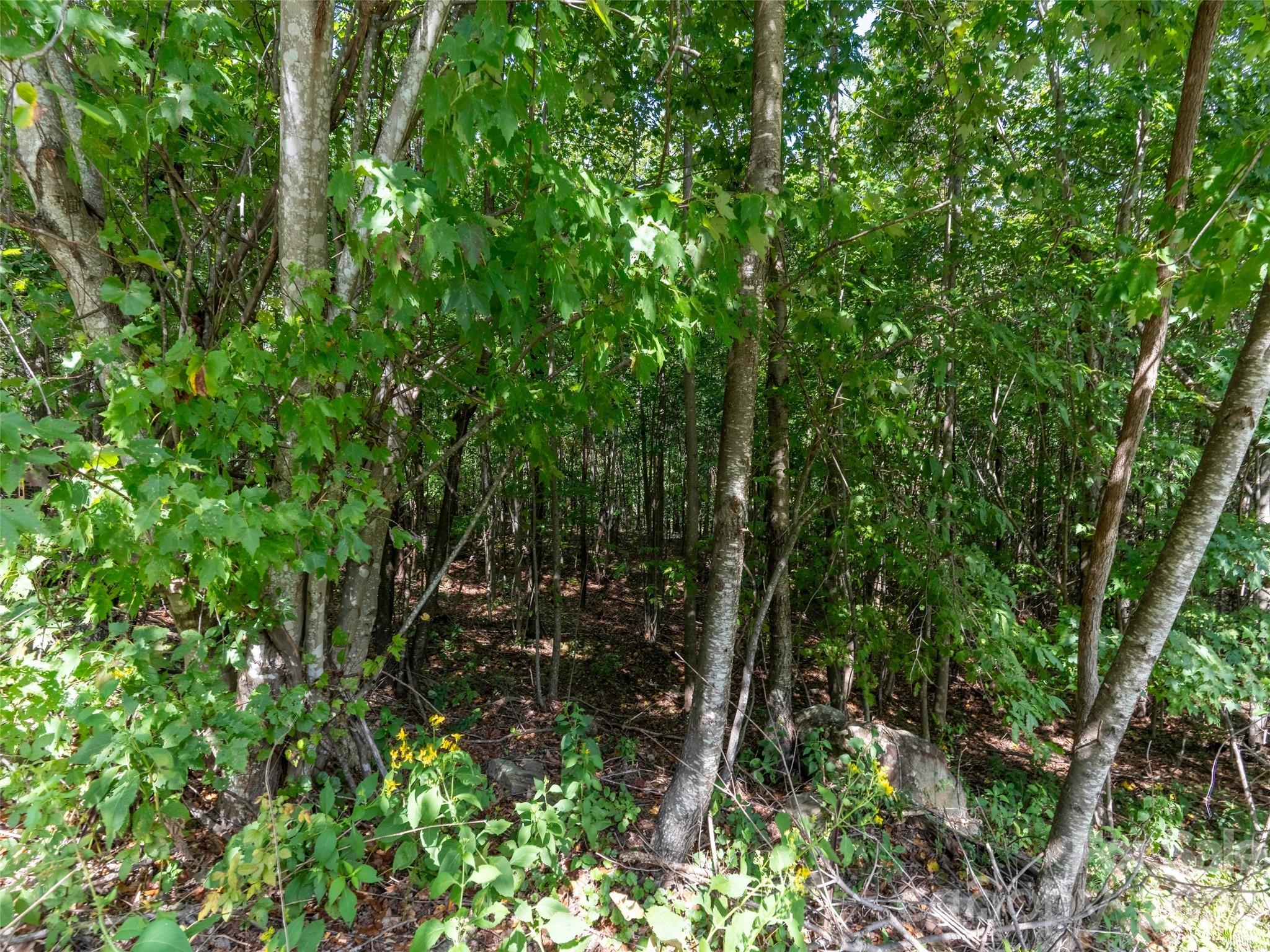 0 Deep Gap Farm Road W 2040