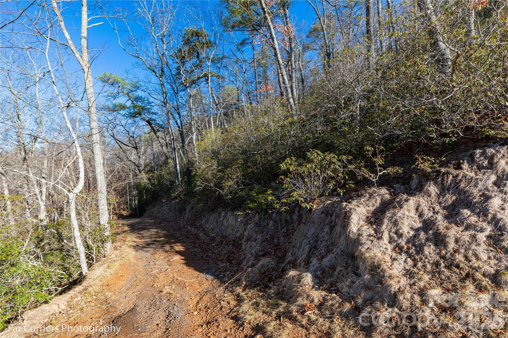 Blue Ridge Vistas - Land