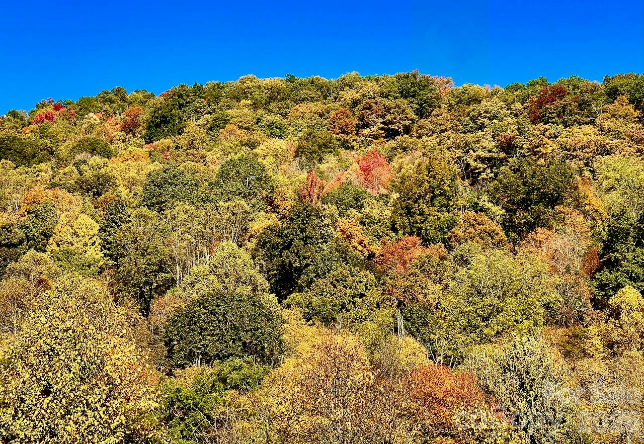 Blue Ridge Vistas - Land