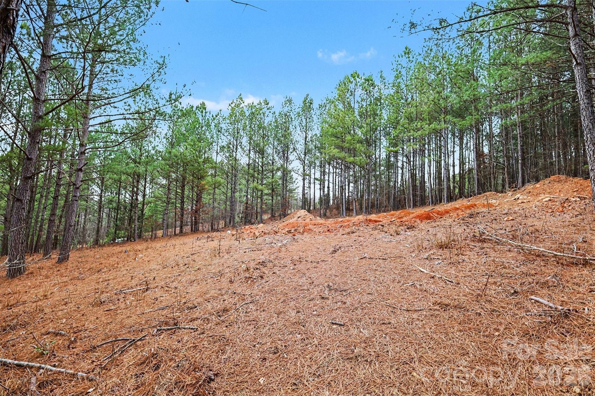 Broad River Highlands - Land