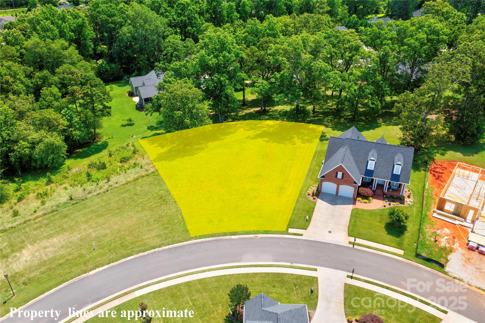 Spring Forest - Land