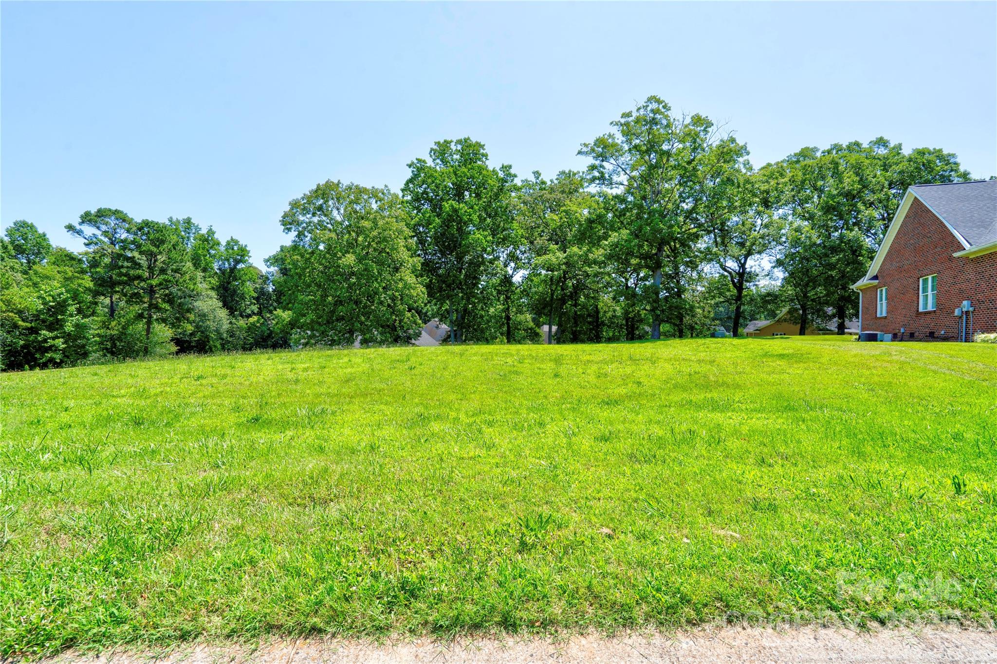 Spring Forest - Land