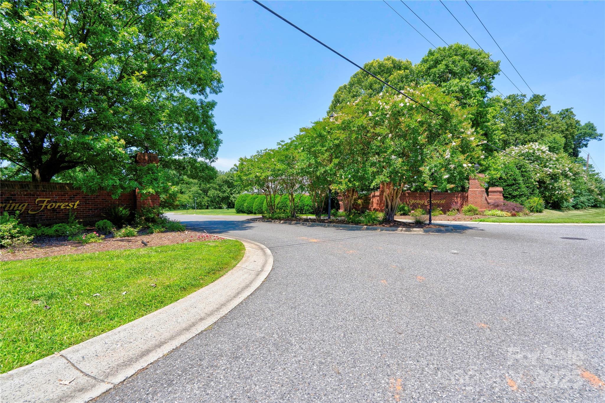 Spring Forest - Land