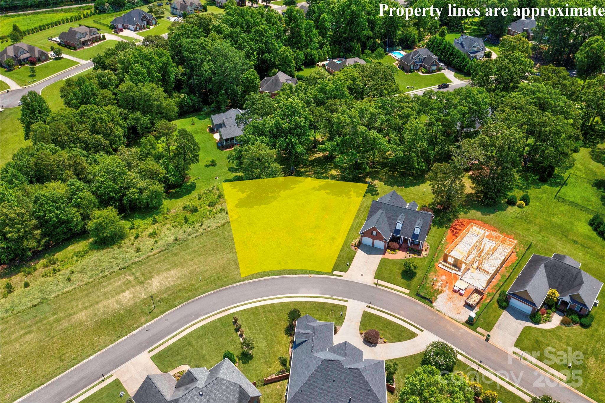 Spring Forest - Land