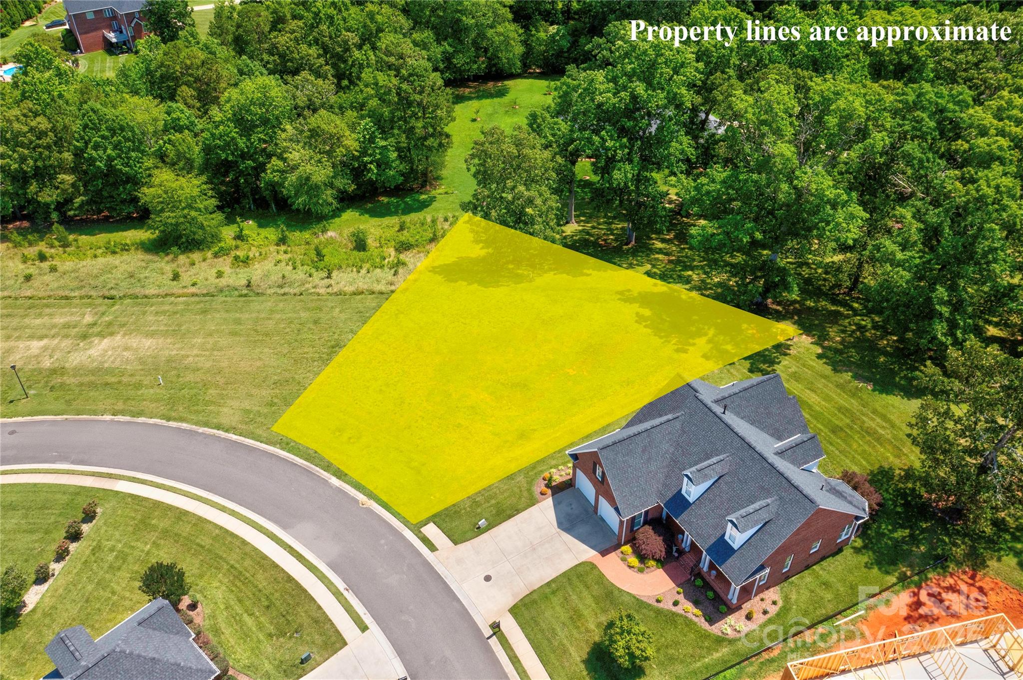 Spring Forest - Land