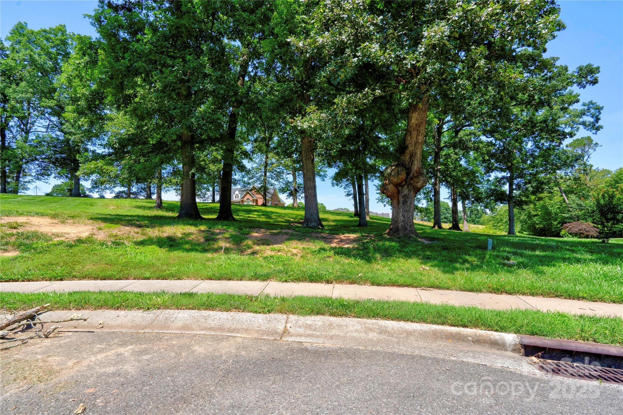 Spring Forest - Land