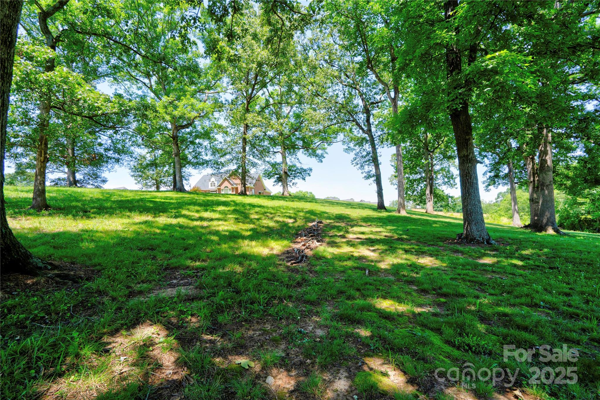 Spring Forest - Land