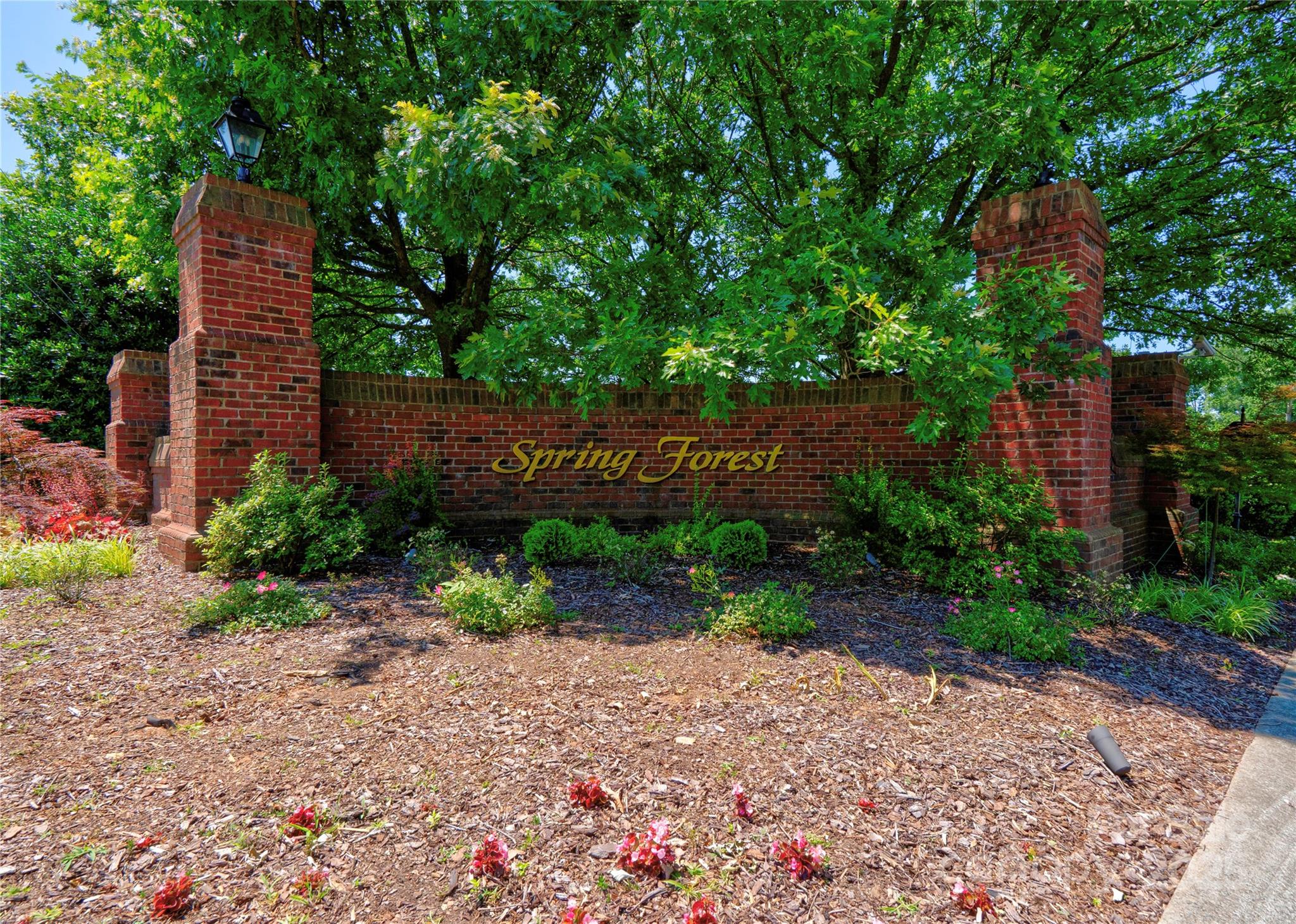 Spring Forest - Land