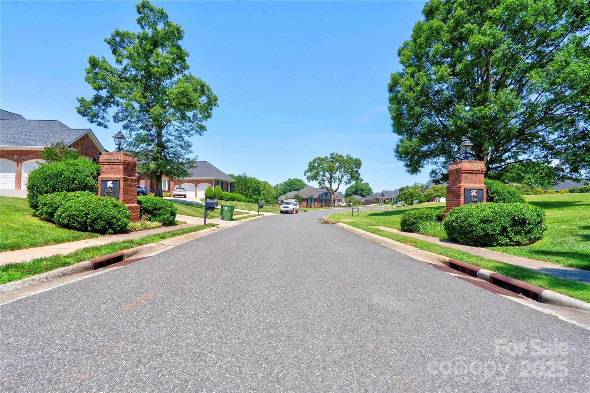 Spring Forest - Land