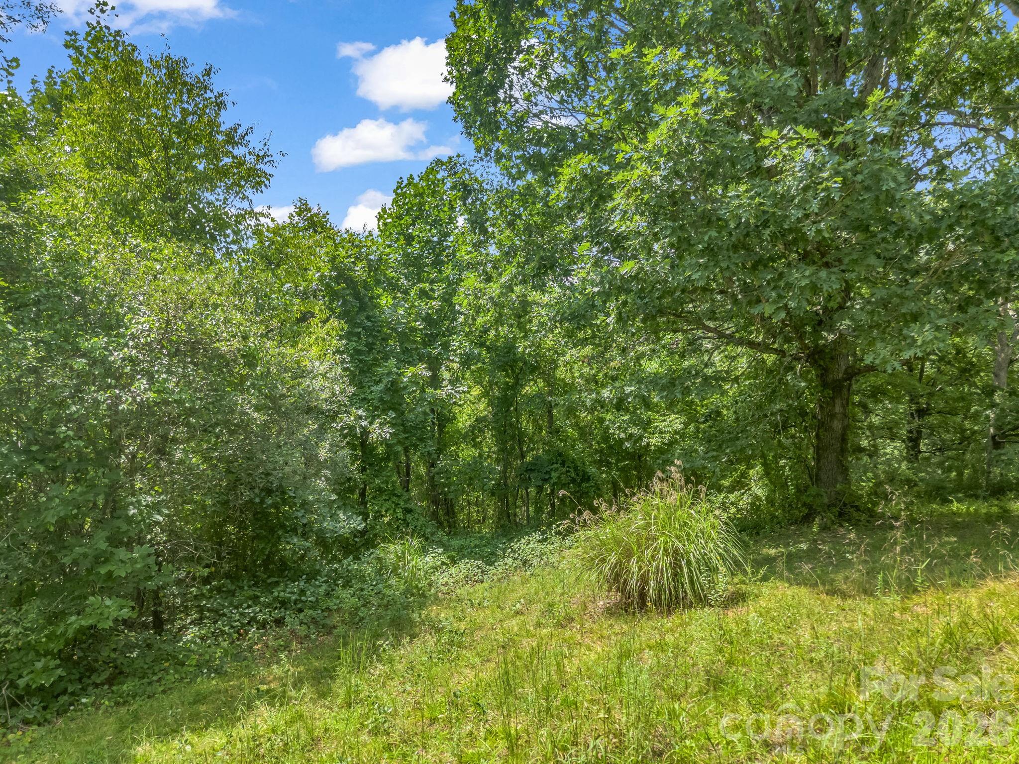 61 Sugar Maple Drive