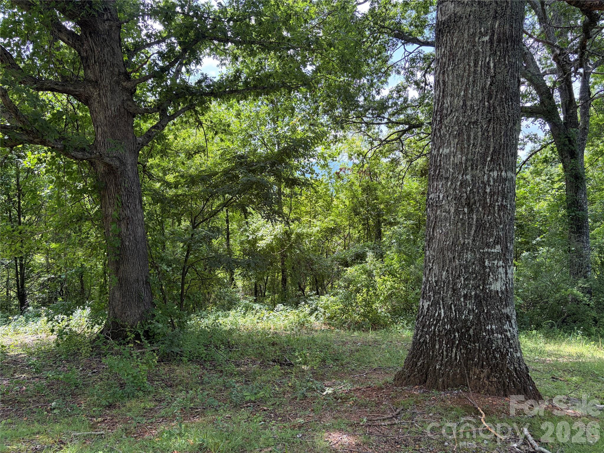 61 Sugar Maple Drive