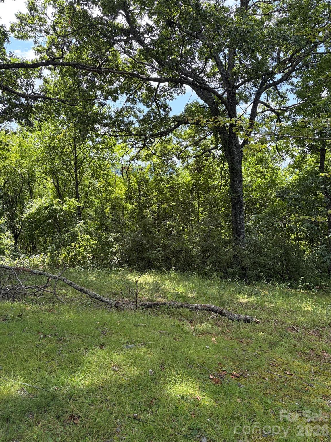 61 Sugar Maple Drive