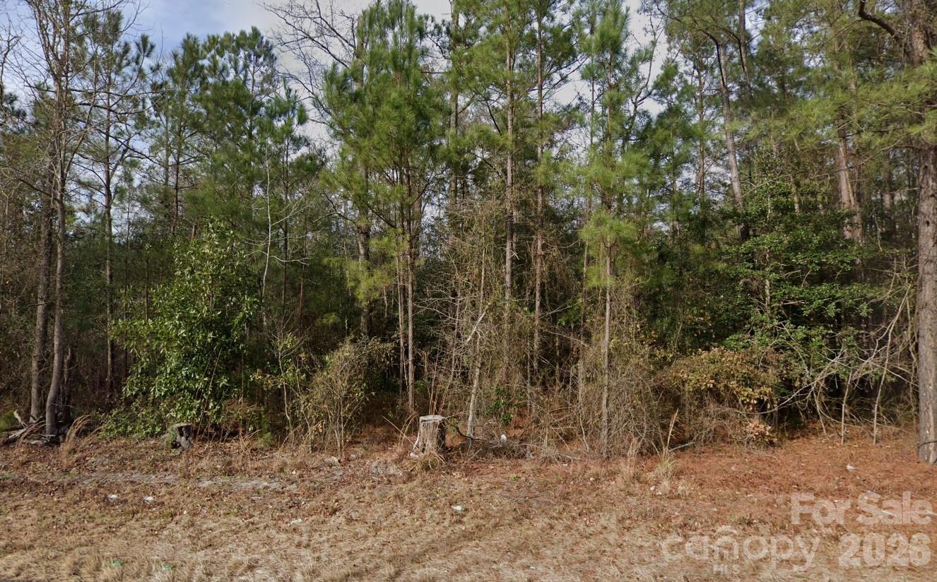 4233 Mount Misery Road NE