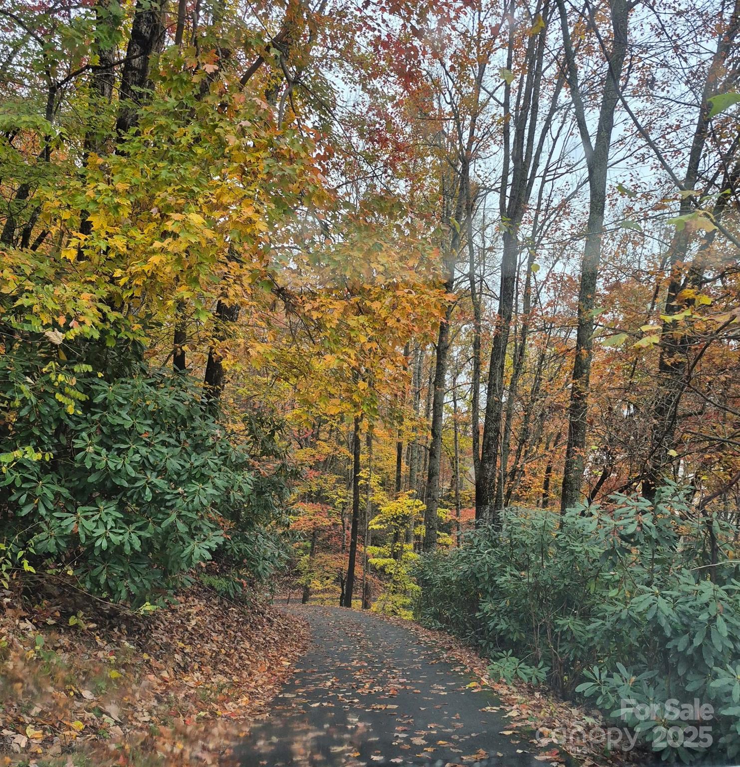 Springdale Estates - Land