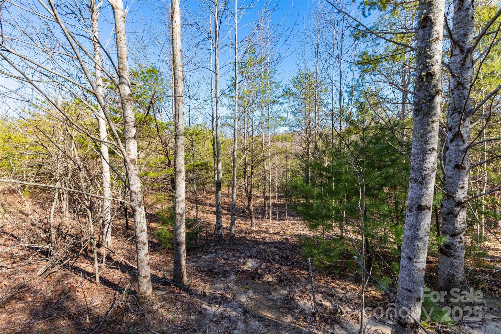 Lot 3 Summer Road