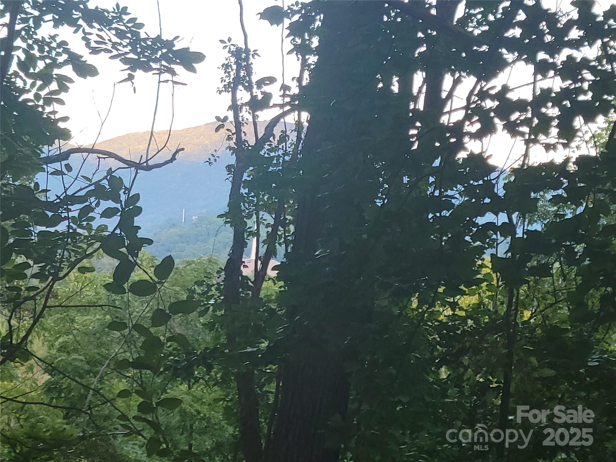 Sulphur Springs Park - Land