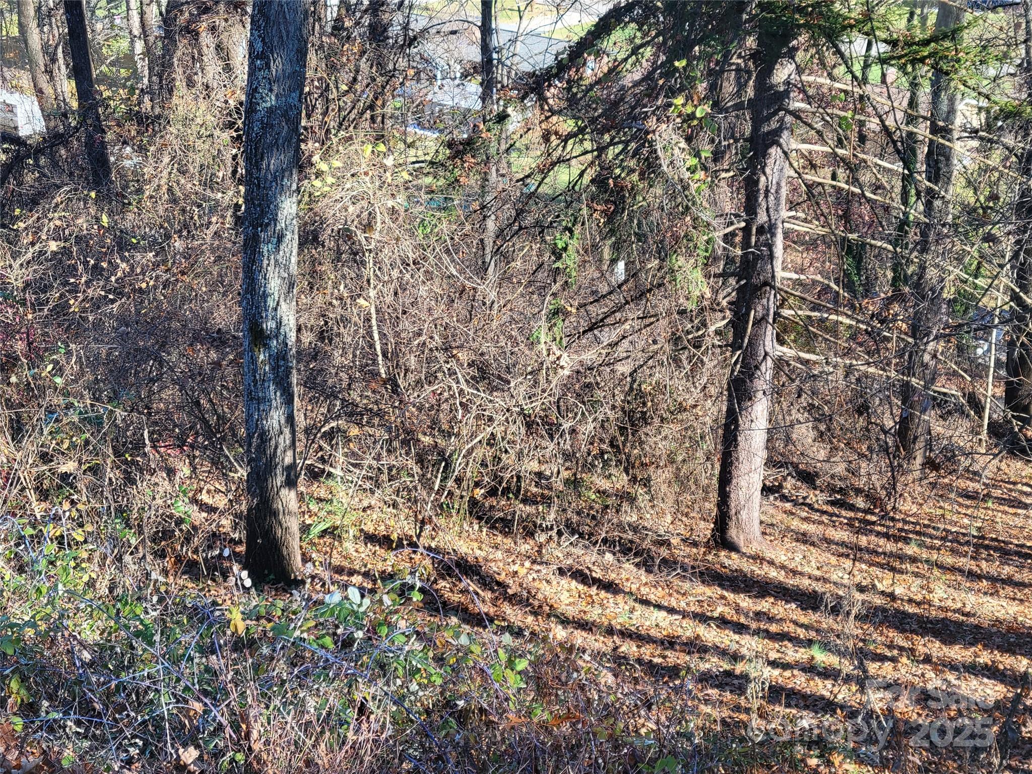 Sulphur Springs Park - Land