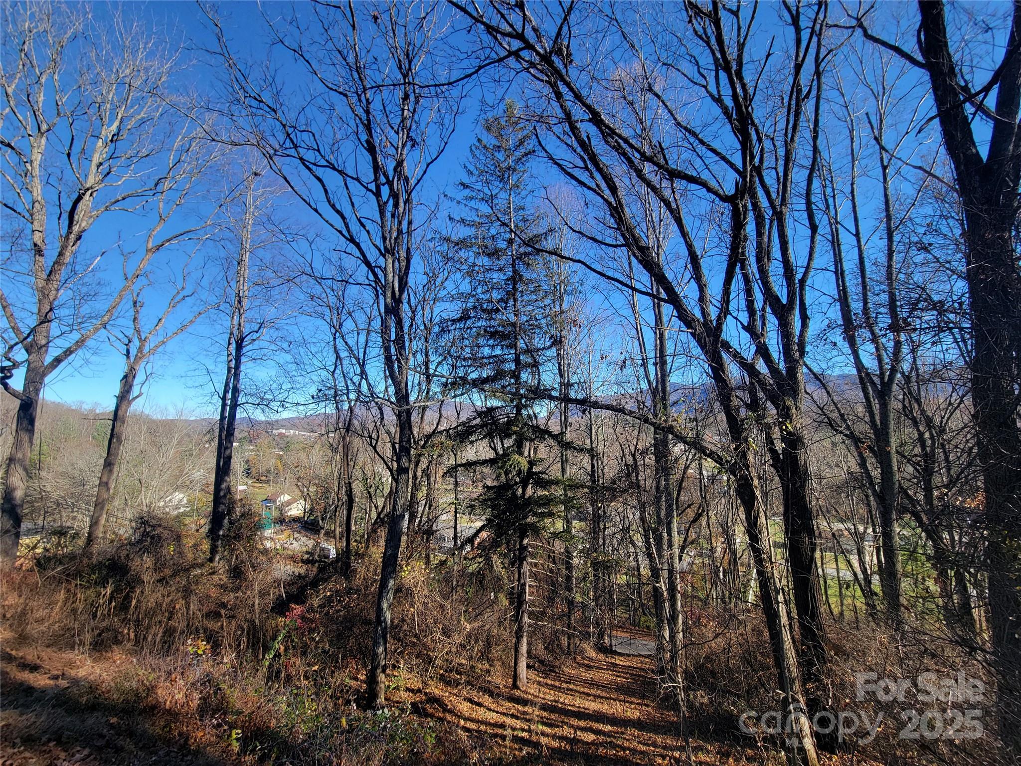 Sulphur Springs Park - Land