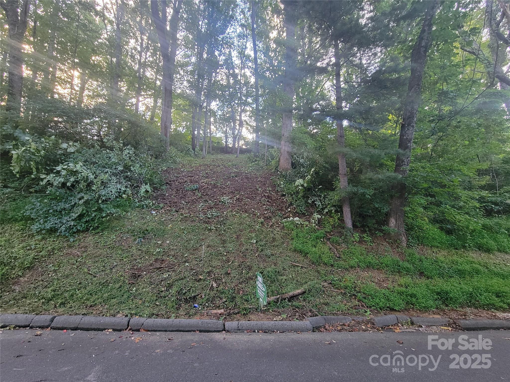 Sulphur Springs Park - Land